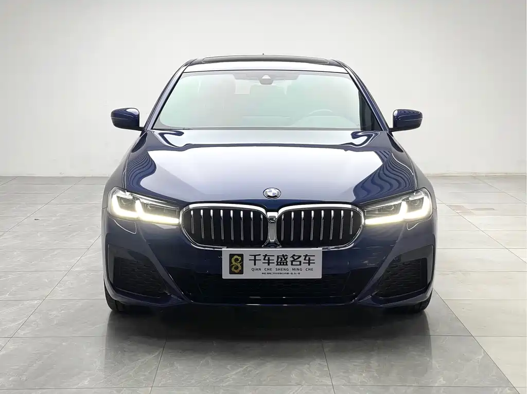 BMW 5 Series — миниатюра 2