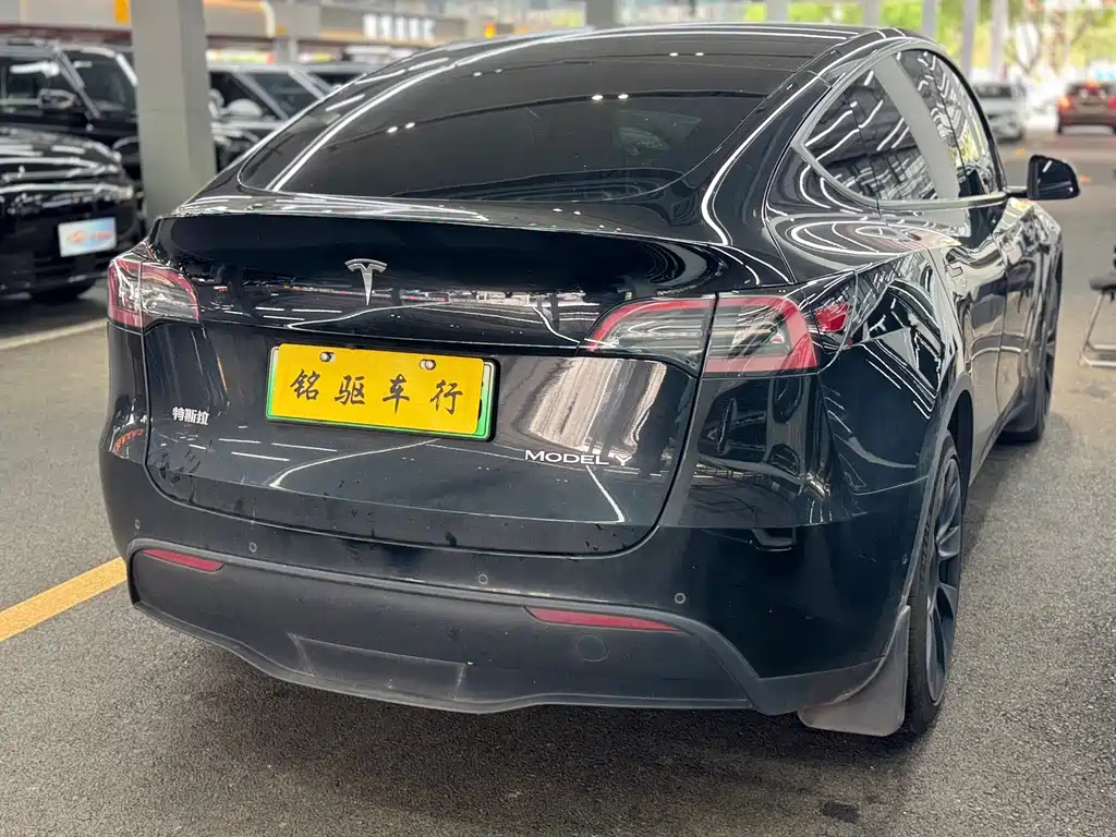 Tesla Model Y — миниатюра 7