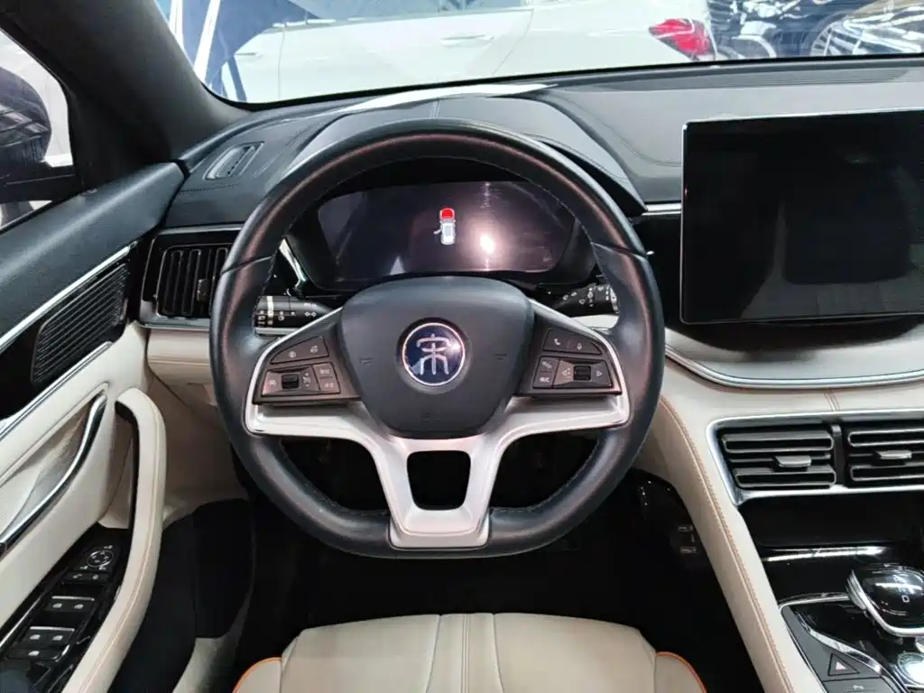BYD PLUS New Energy — миниатюра 11