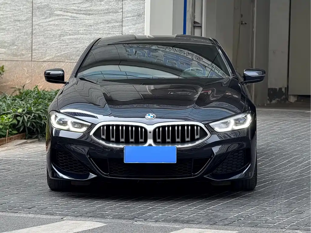 BMW 8 SERIES