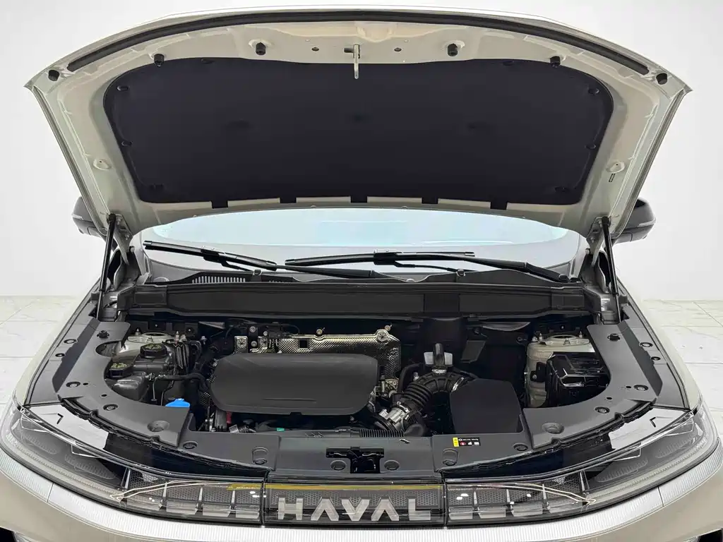 Haval Xiaolong MAX Hi4 110 Plus Smart Drive Edition, фото 5
