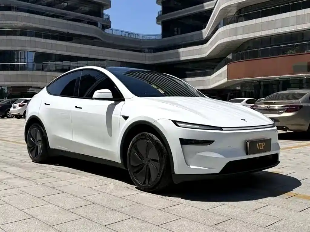 Tesla Model Y — миниатюра 3