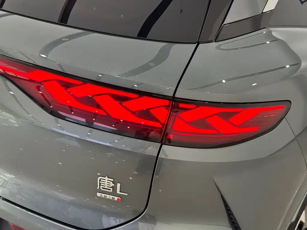 BYD Tang L — миниатюра 6