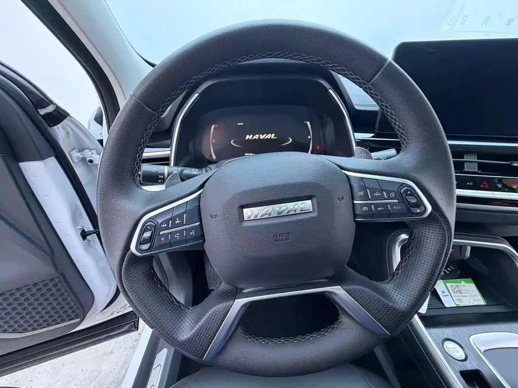 Haval H6 — миниатюра 8