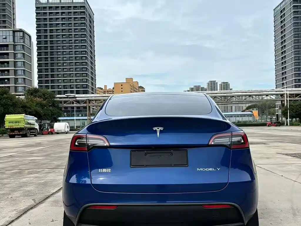 Tesla Model Y — миниатюра 6