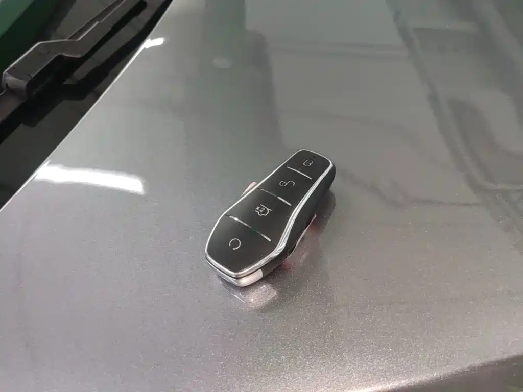 BYD Sealion 05 DM-i — миниатюра 9