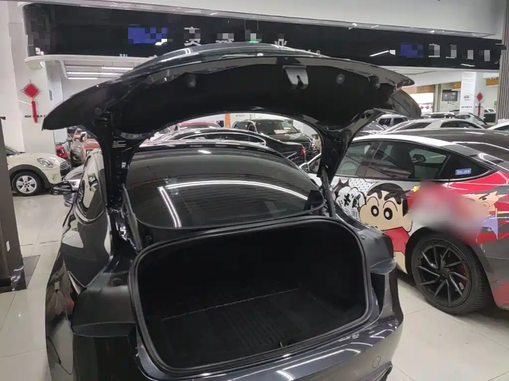 Tesla Model 3 — миниатюра 19
