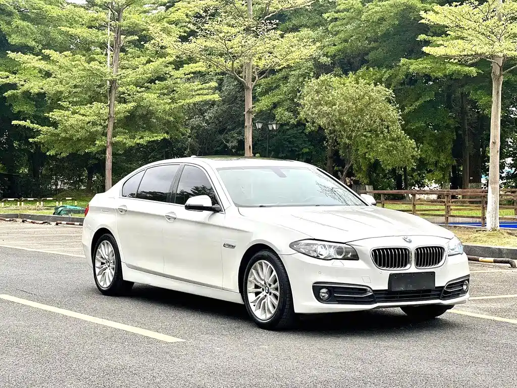 BMW 5 Series — миниатюра 3