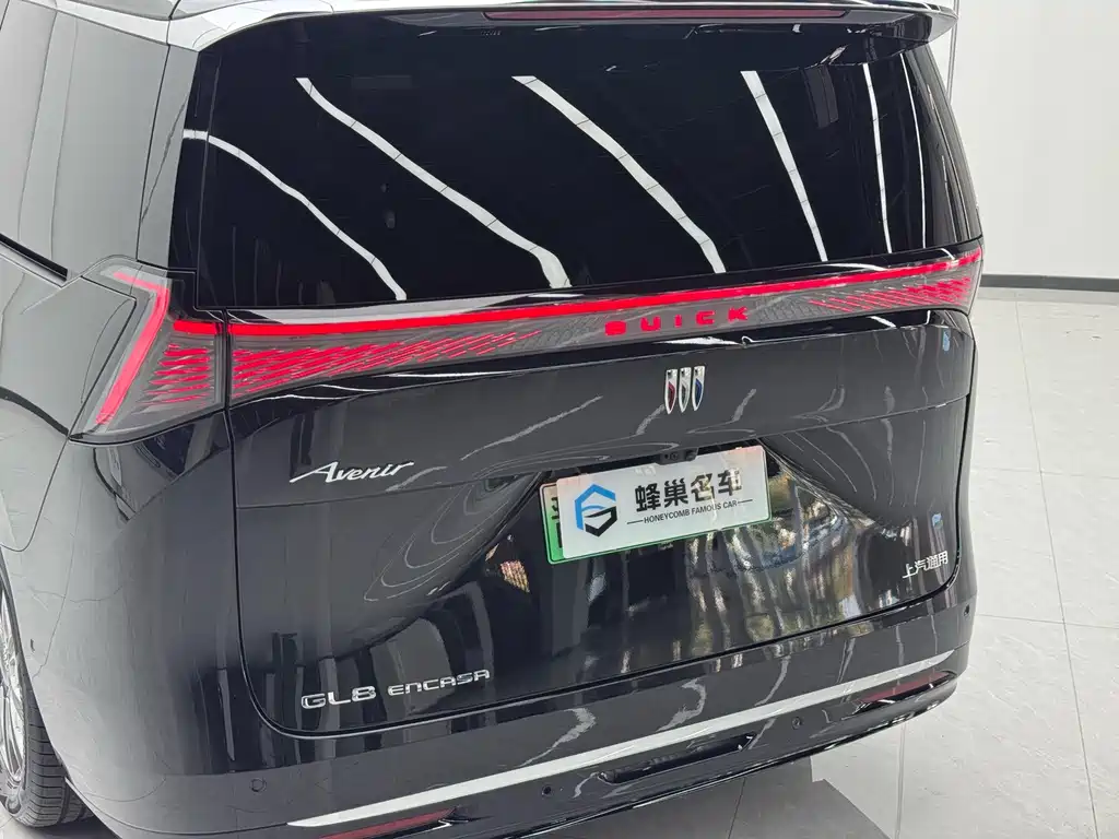 Buick Electra Encasa — миниатюра 33