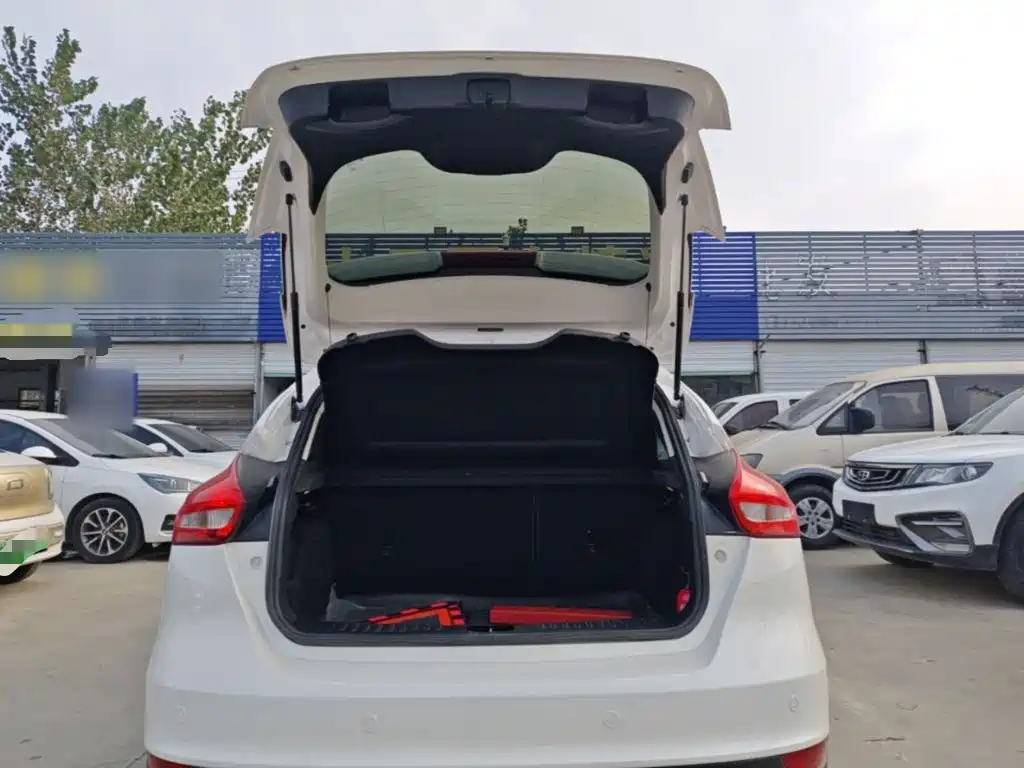 Ford Focus — миниатюра 19