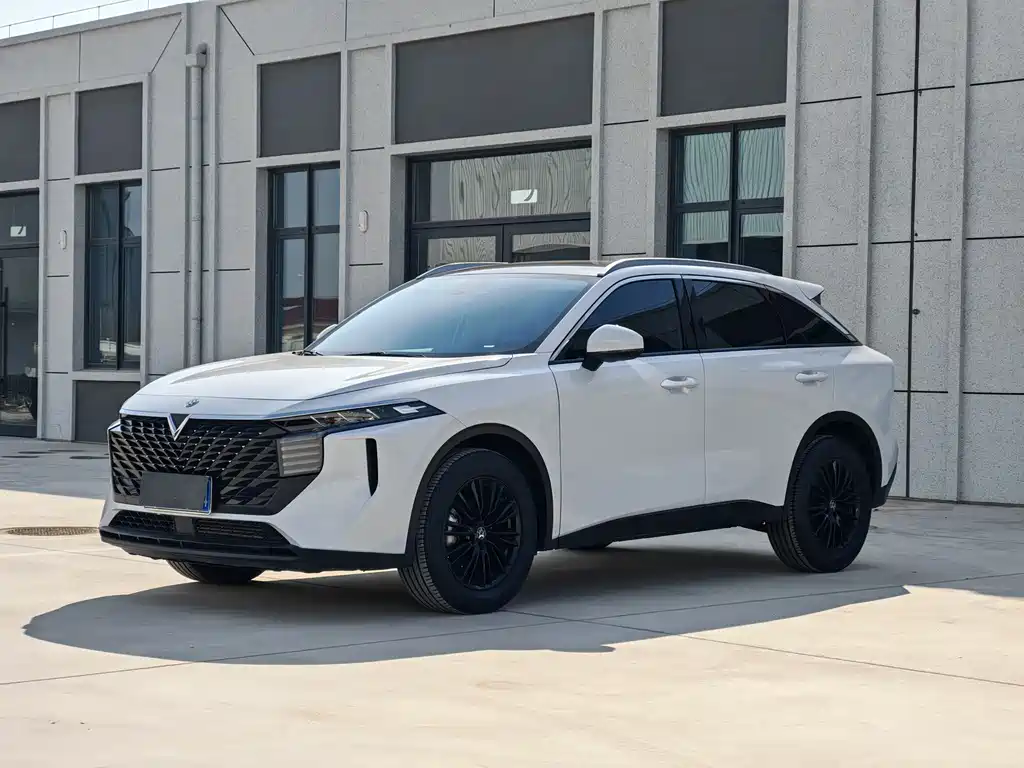 Venucia V 2023
