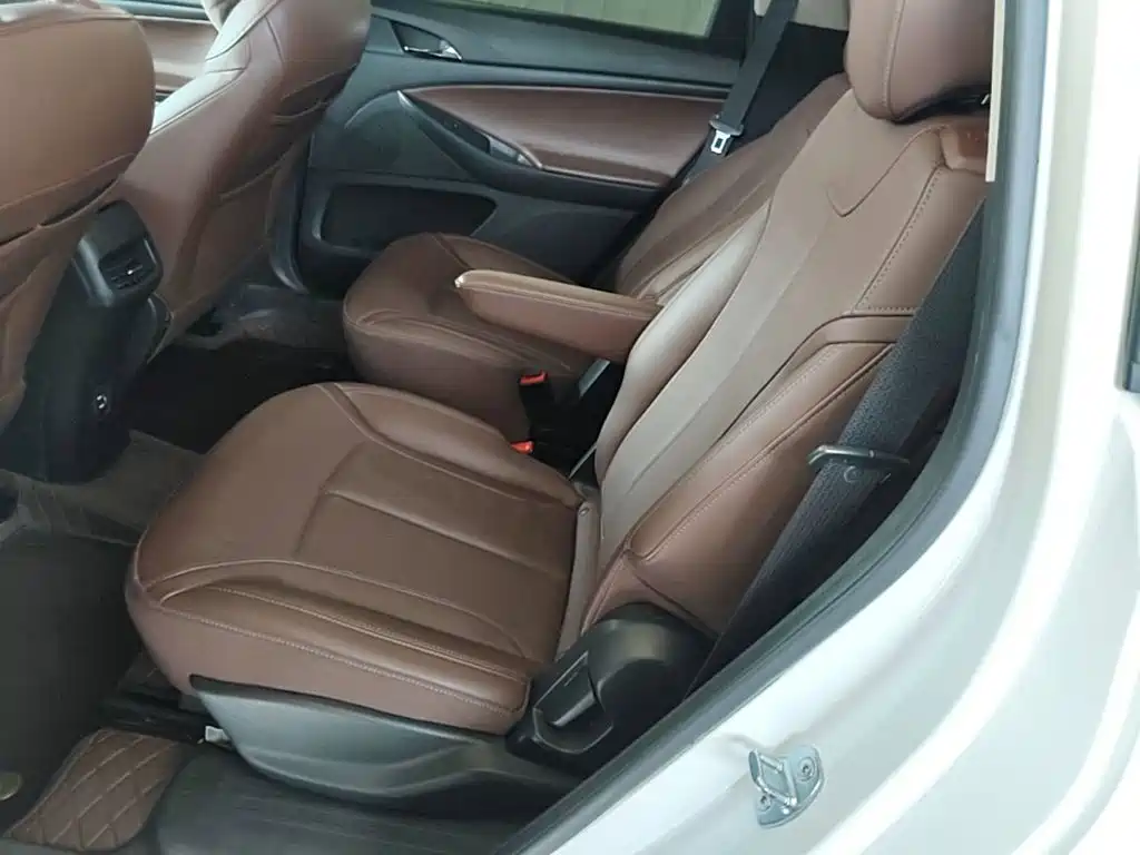 Buick GL6 — миниатюра 17