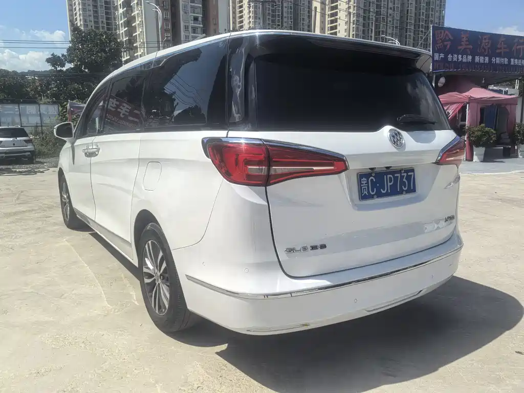 Buick GL8 — миниатюра 8