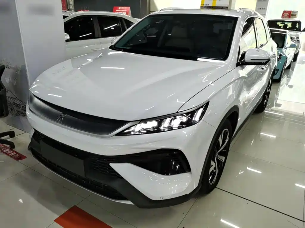 BYD Pro New Energy — миниатюра 2
