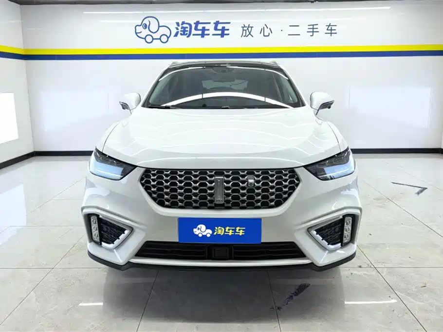 WEI PAI WEI BRAND VV5