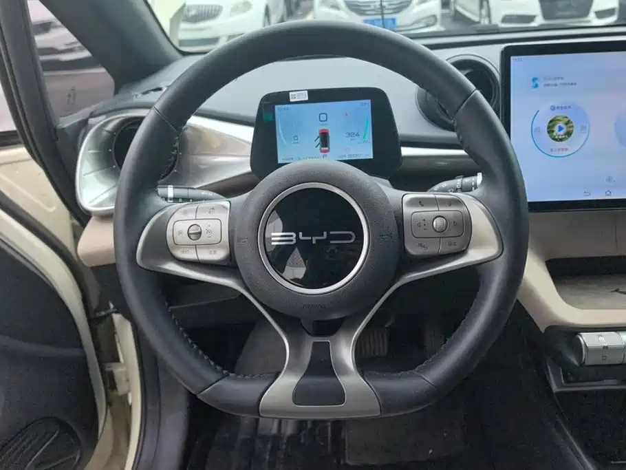 BYD Dolphin — миниатюра 15