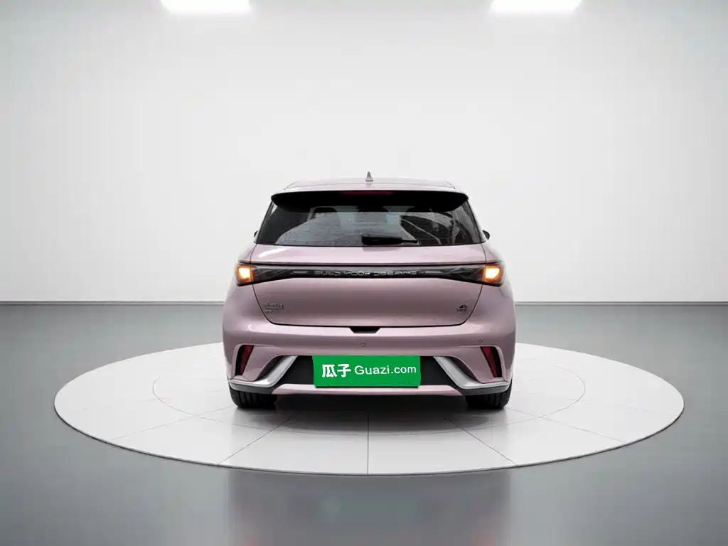 BYD Dolphin — миниатюра 3