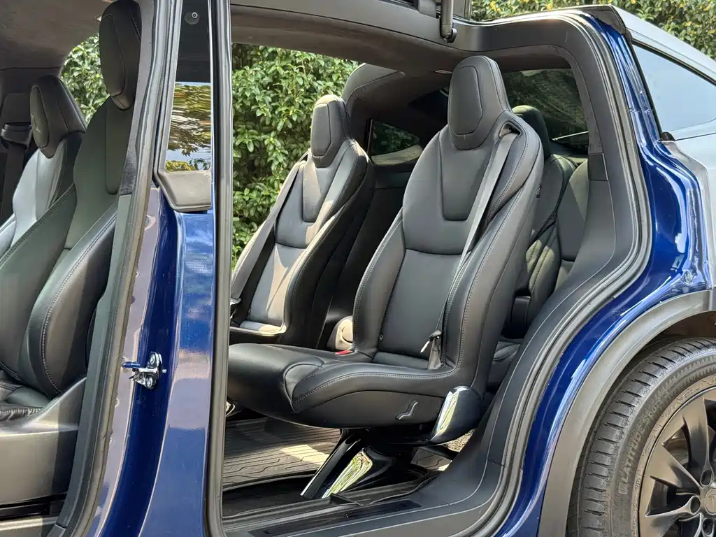 Tesla Model X — миниатюра 13