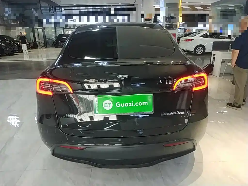 Tesla Model Y — миниатюра 6