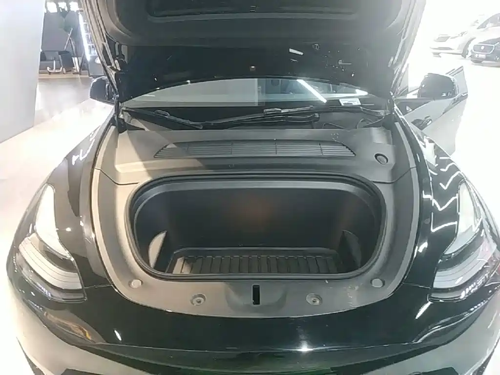 Tesla Model Y — миниатюра 20