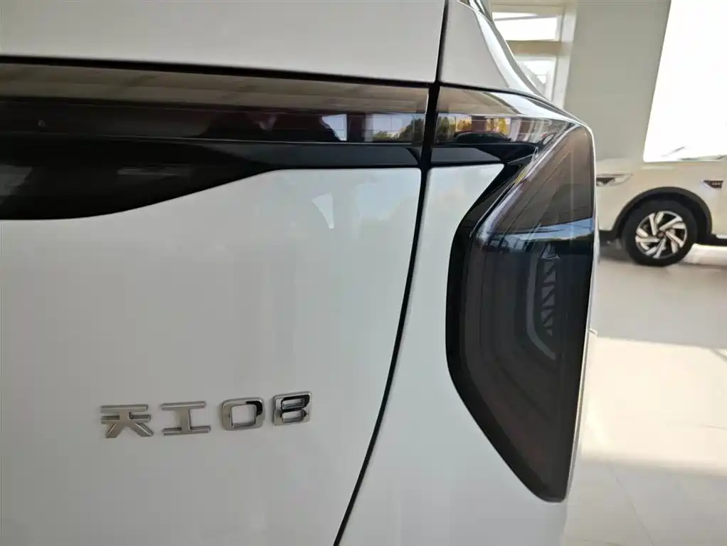 Hongqi HONGQI TIANGONG 08