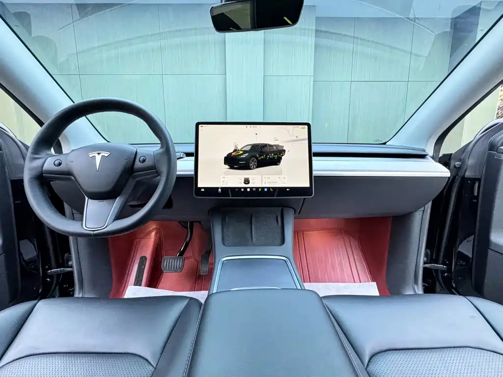 Tesla Model Y — миниатюра 10