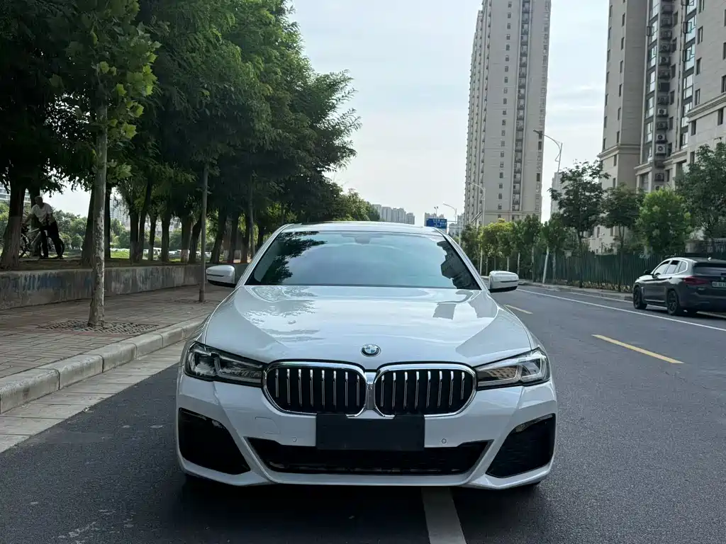 BMW 5 Series — миниатюра 2