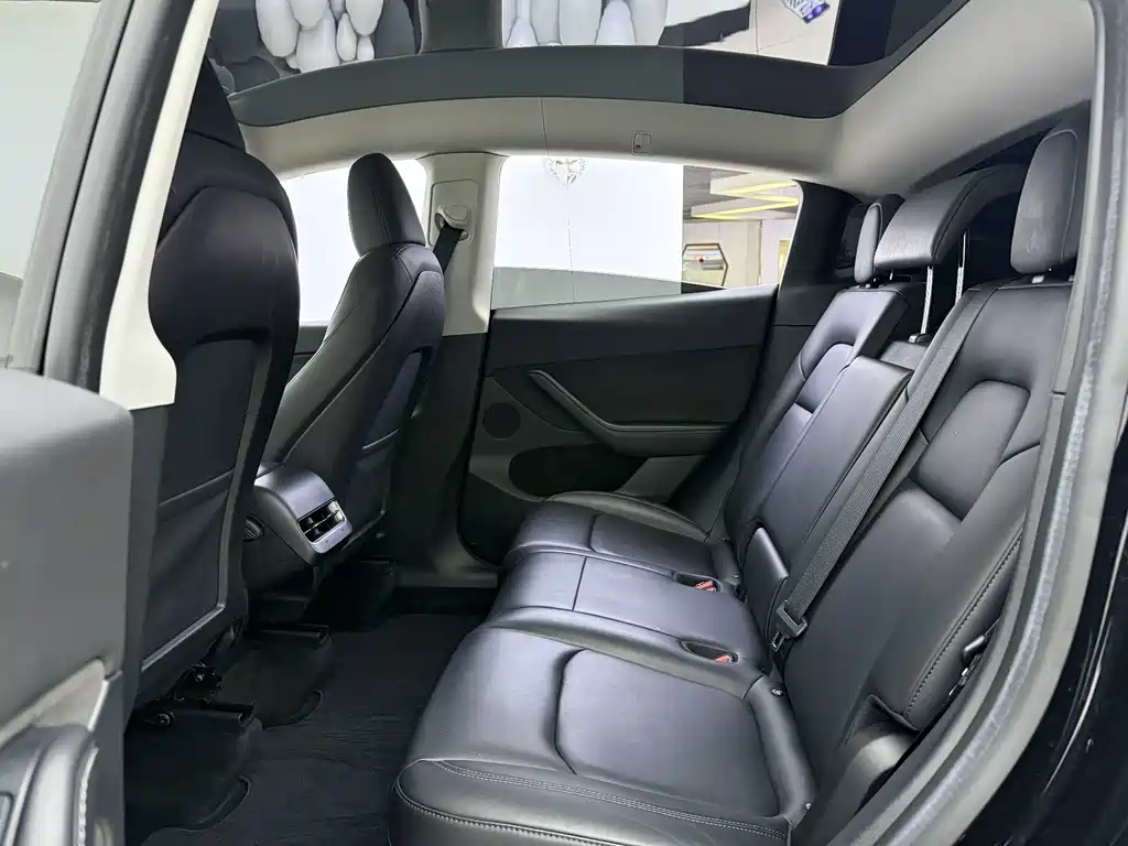 Tesla Model Y — миниатюра 7