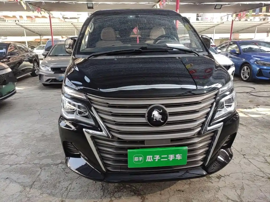 Fengxing Lingzhi — миниатюра 3