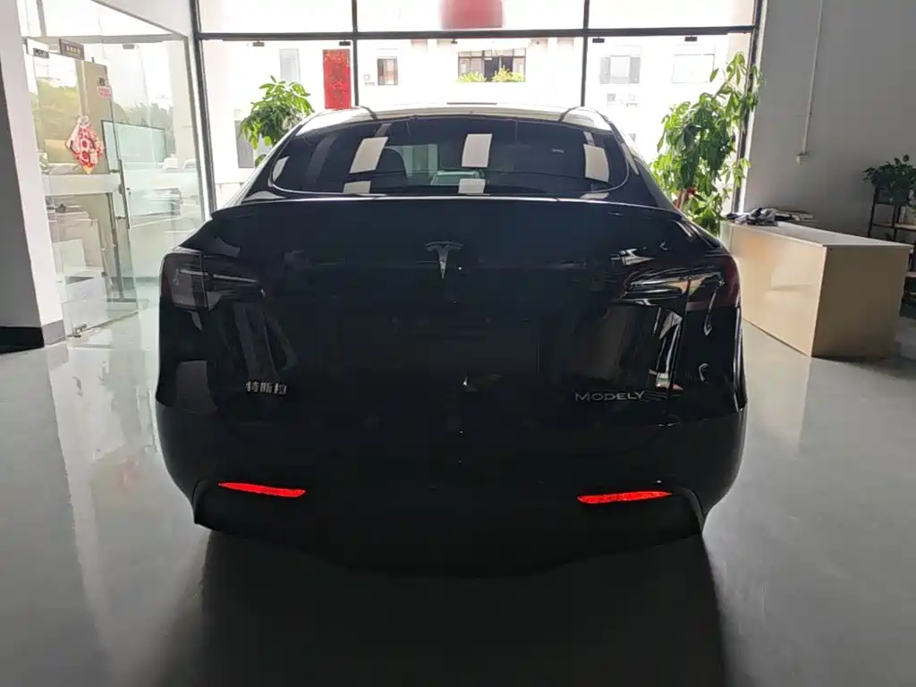Tesla Model Y — миниатюра 6