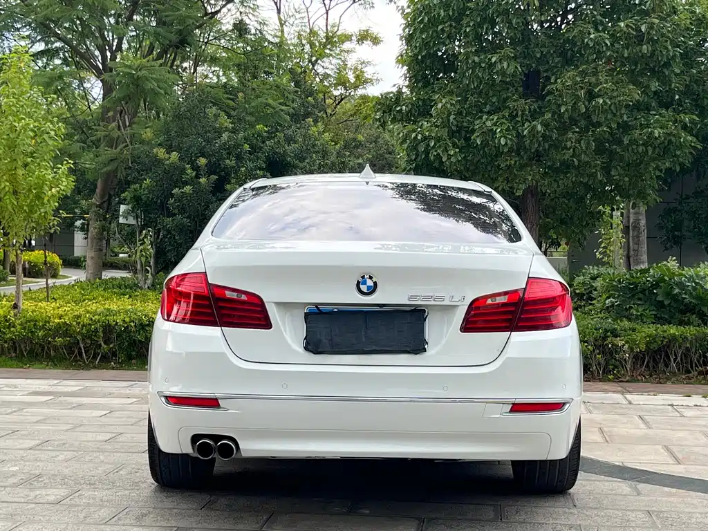 BMW 5 Series — миниатюра 8
