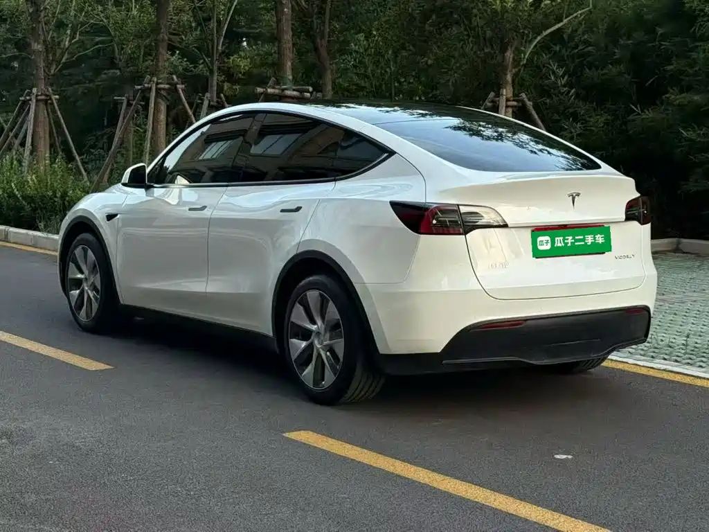 Tesla Model Y — миниатюра 5