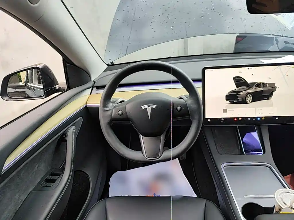 Tesla Model Y — миниатюра 11