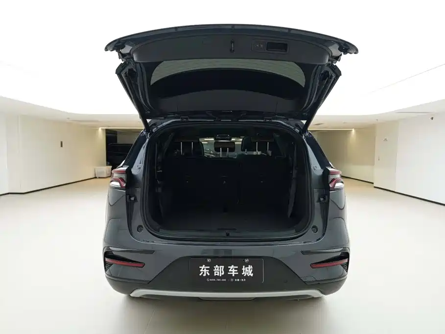 BYD Tang New Energy — миниатюра 6