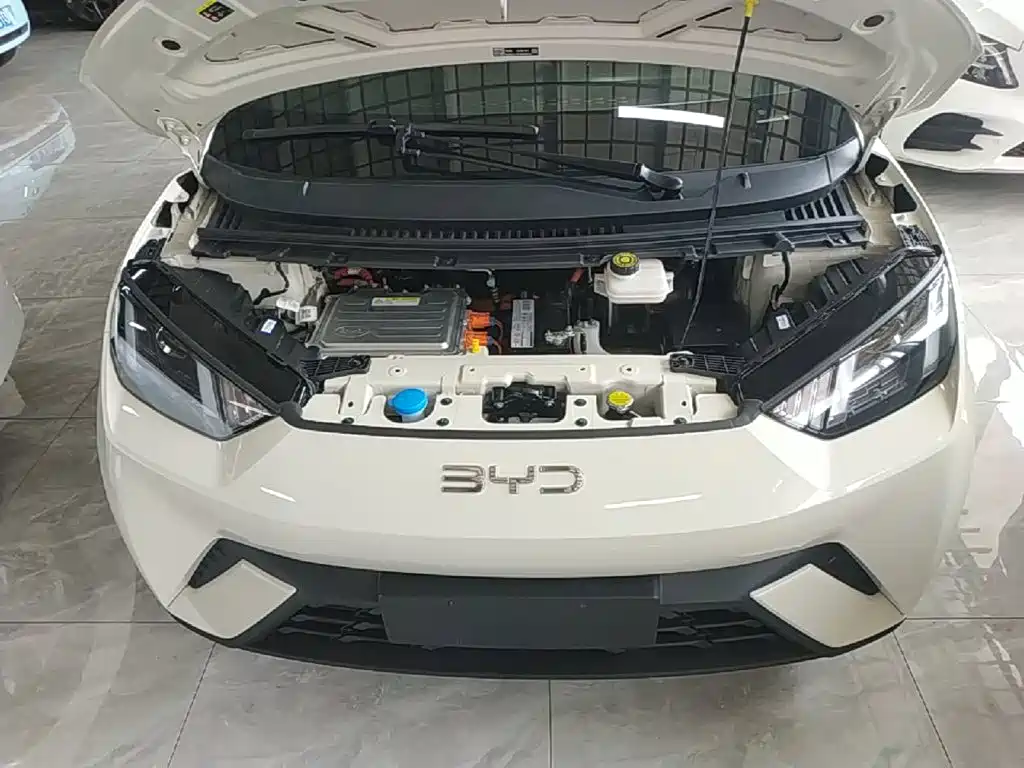 BYD Seagull — фотографии объявления, Фото 21