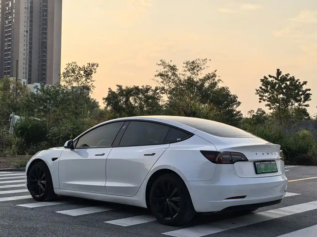 Tesla Model 3 — миниатюра 6