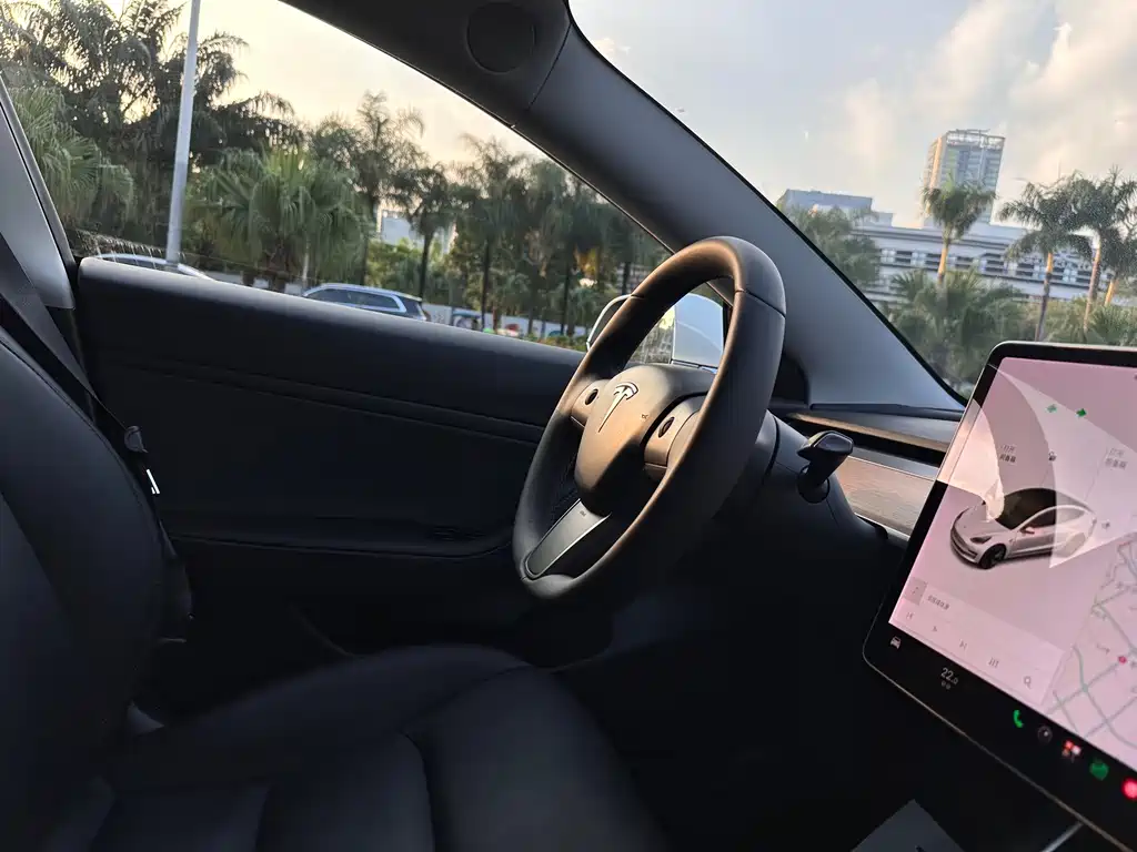Tesla Model 3 — миниатюра 25