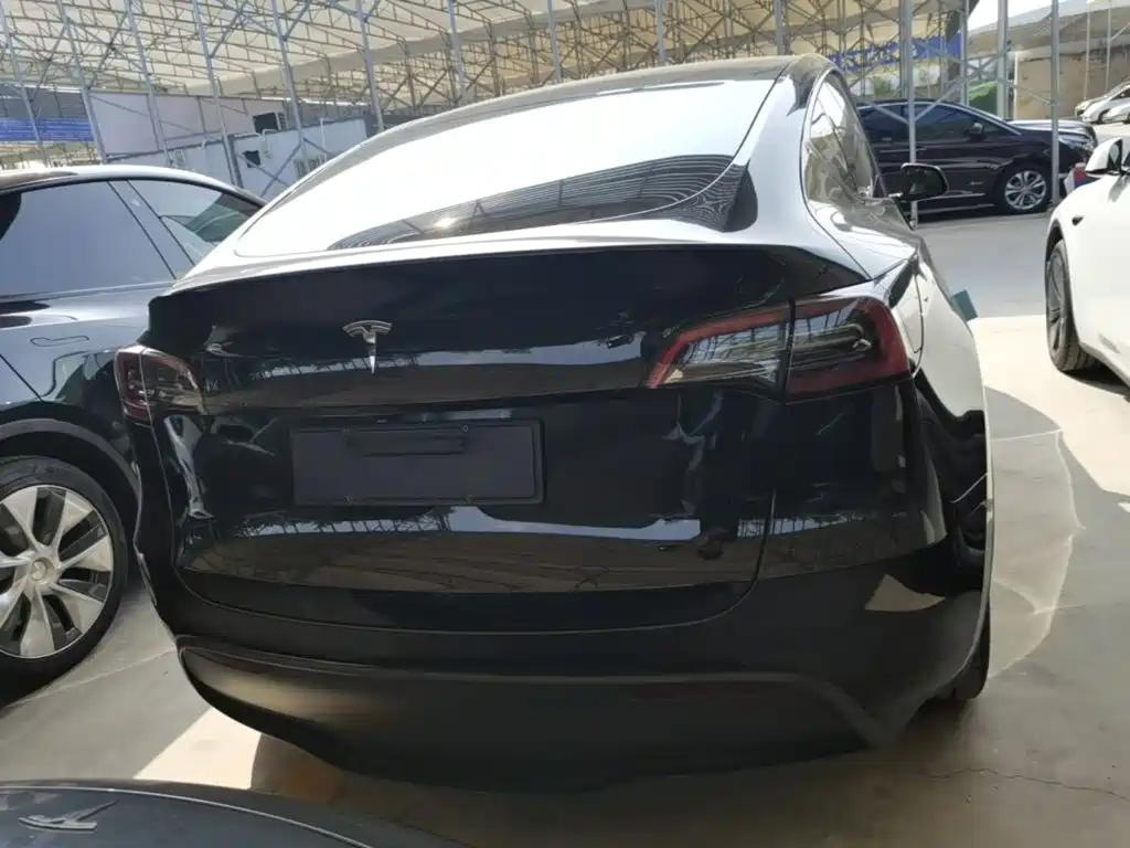 Tesla Model Y — миниатюра 6
