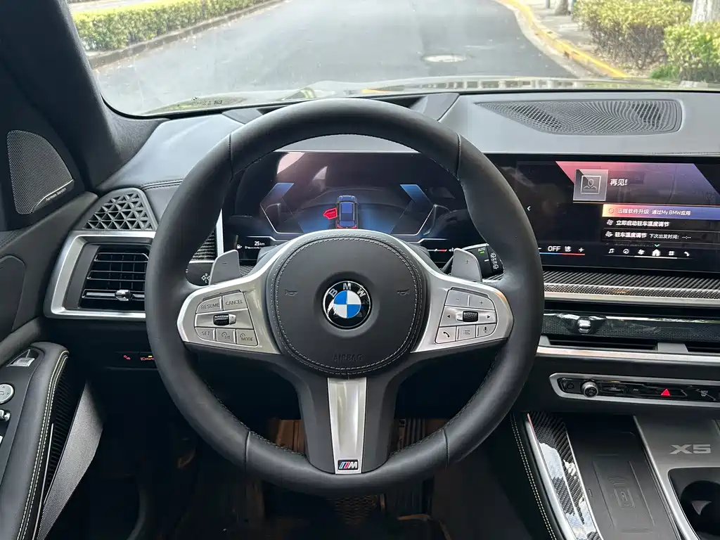 BMW X5 — миниатюра 11