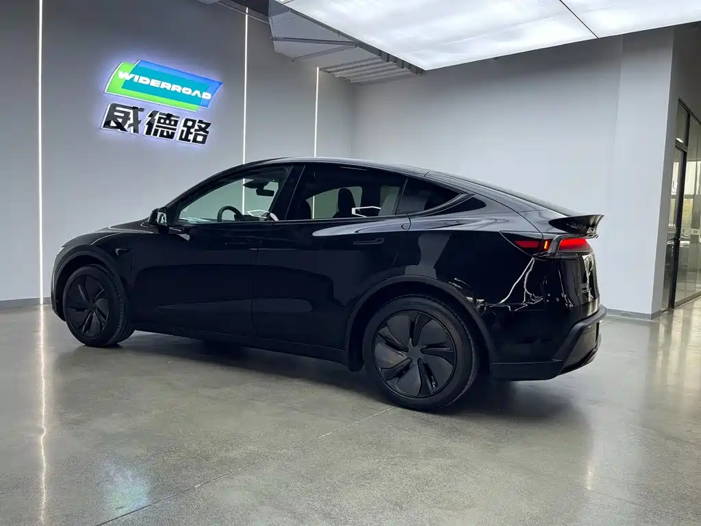 Tesla Model Y — миниатюра 5