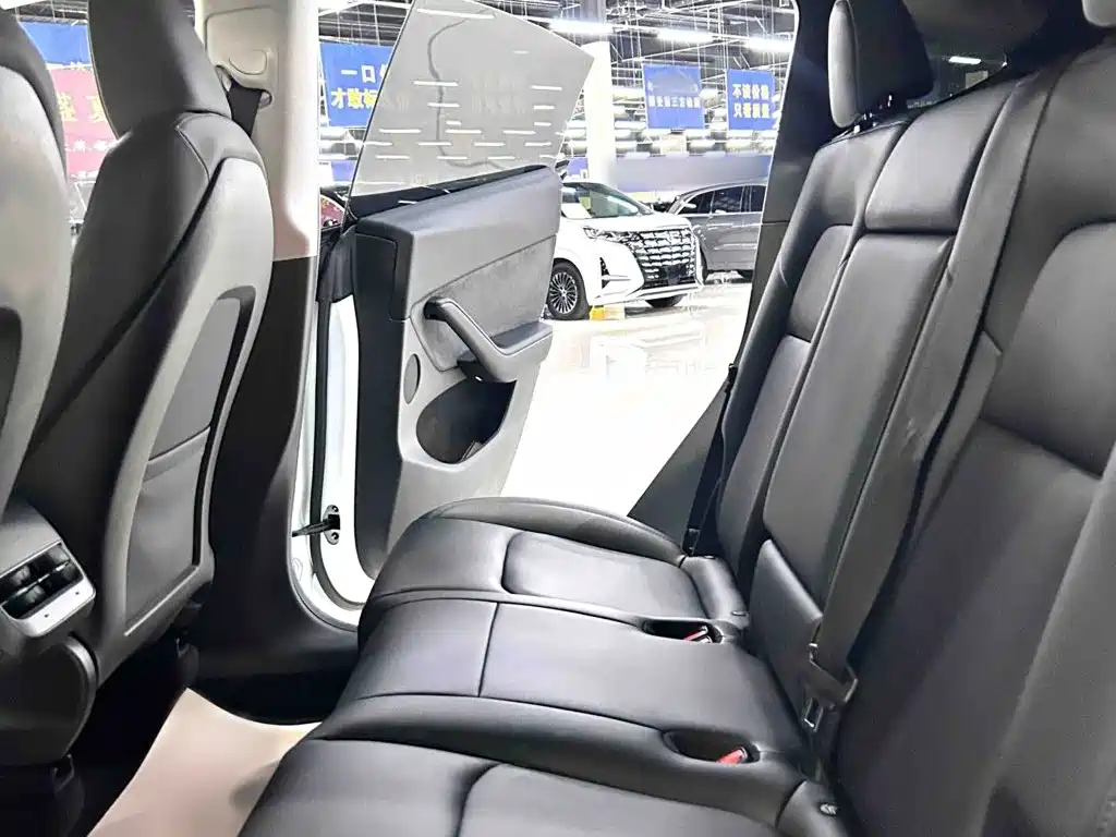 Tesla Model Y — миниатюра 24