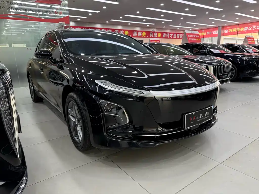 Hongqi HONGQI E QM5