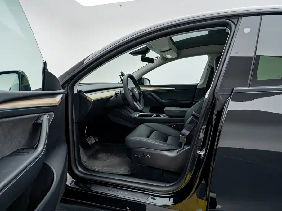 Tesla Model Y — миниатюра 9