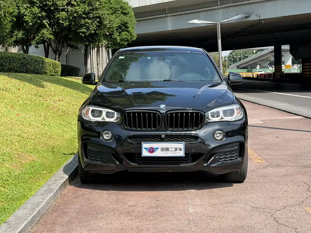 BMW X6 — миниатюра 2