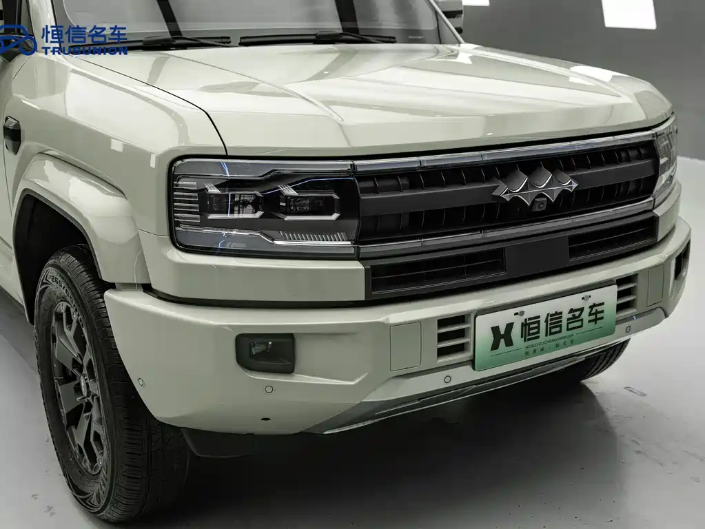 FANG CHENG BAO LEOPARD 5