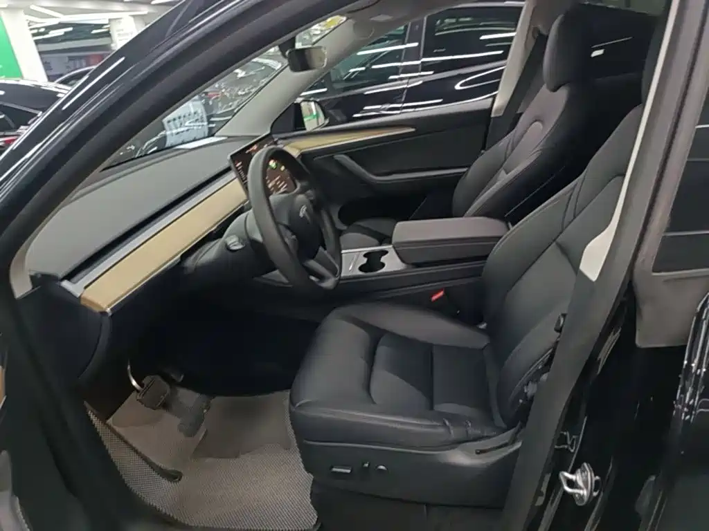 Tesla Model Y — миниатюра 15