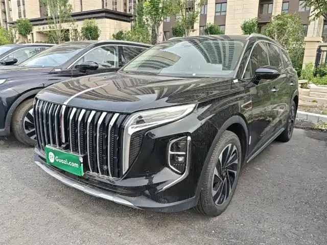 2024 Hongqi HS7