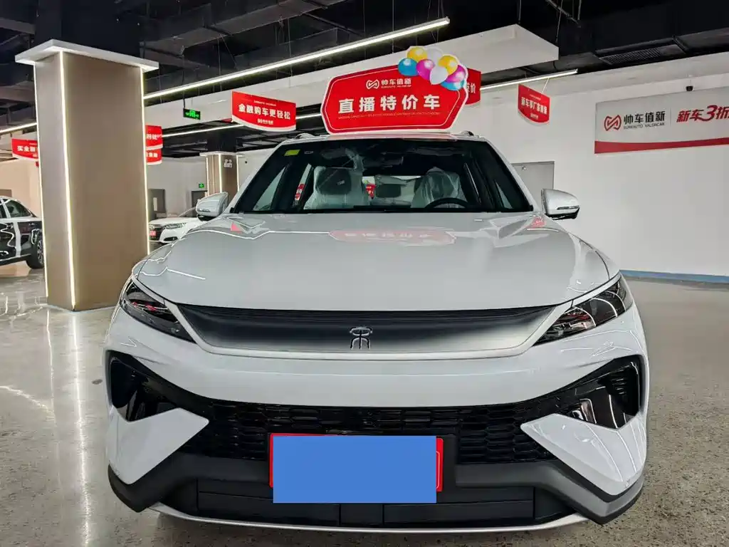 BYD Pro New Energy — миниатюра 2