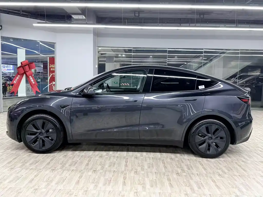 Tesla Model Y — миниатюра 2