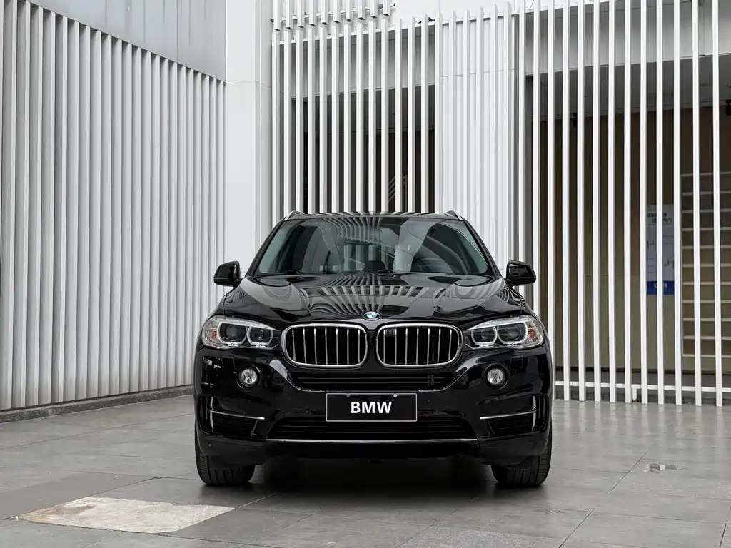 BMW X5 (Import) — миниатюра 2